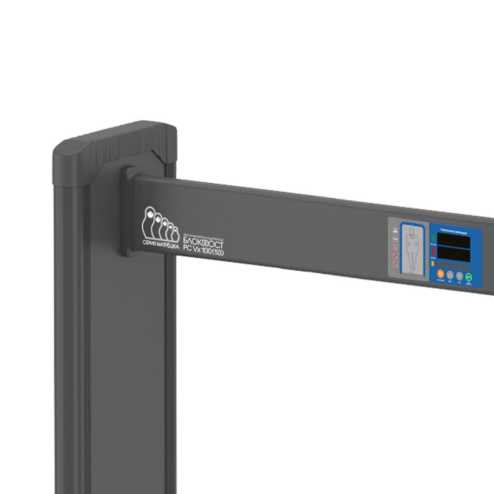 Арочный металлодетектор Матрёшка PC VX 100
