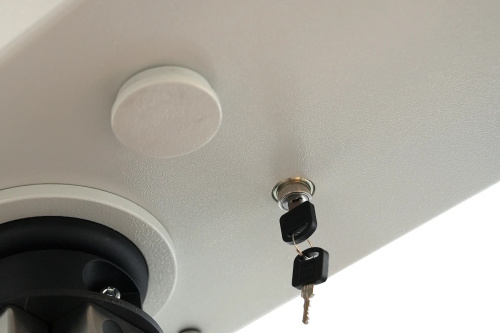 Полноростовый четырехлопастной моторизованный роторный турникет RTD-14.1