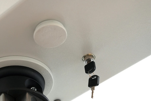 Полноростовый четырехлопастной моторизованный роторный турникет RTD-14.1S